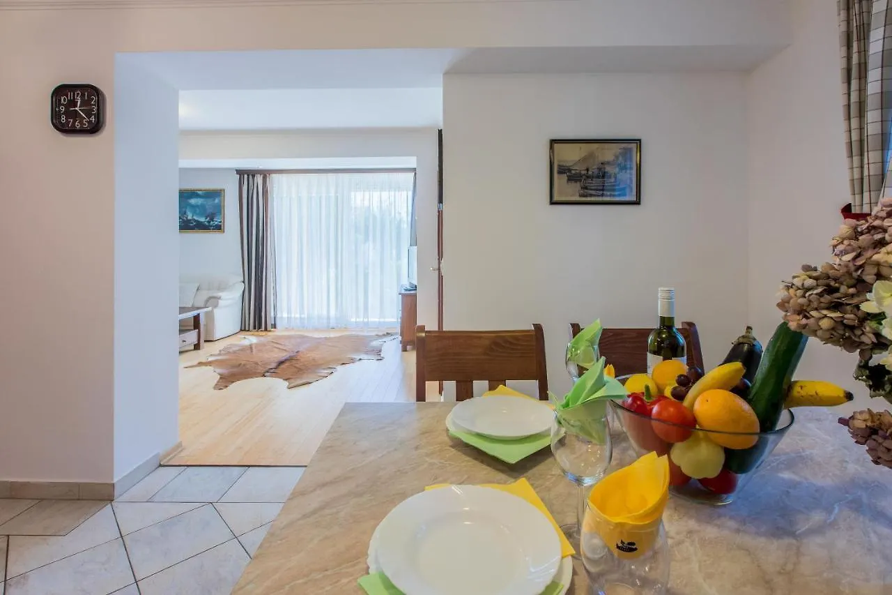 Apartments Robic Selce