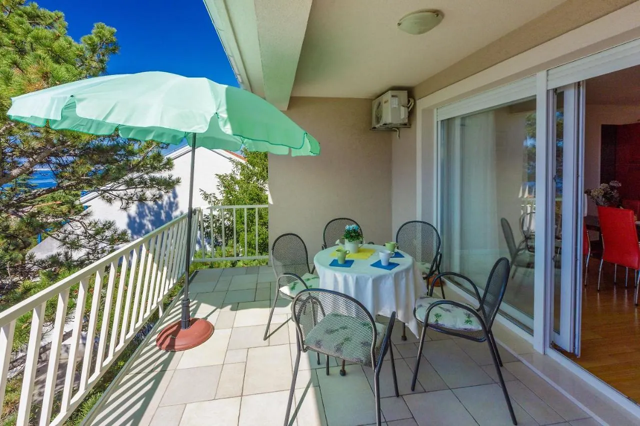 Apartments Robic Selce