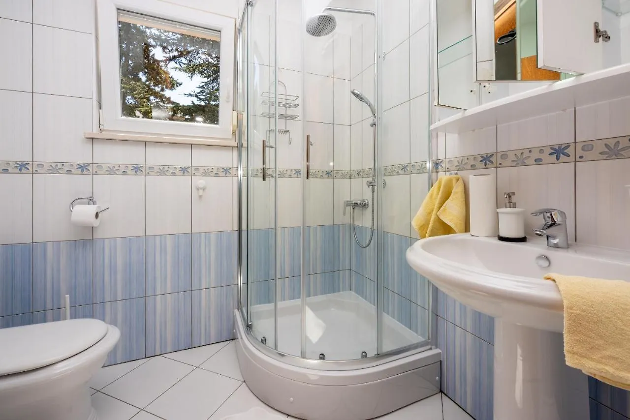 Apartments Robic Selce 0*,